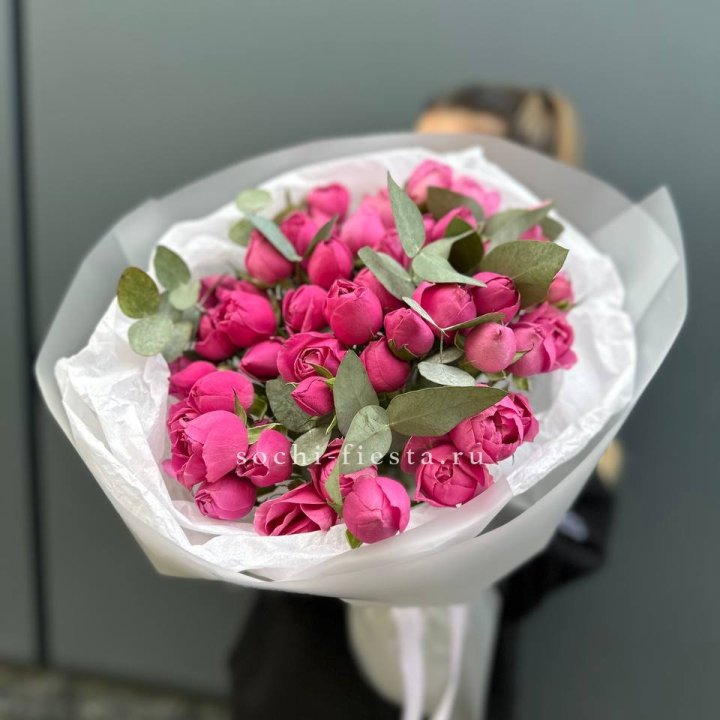 17 Мисти бабблс в Владивостоке