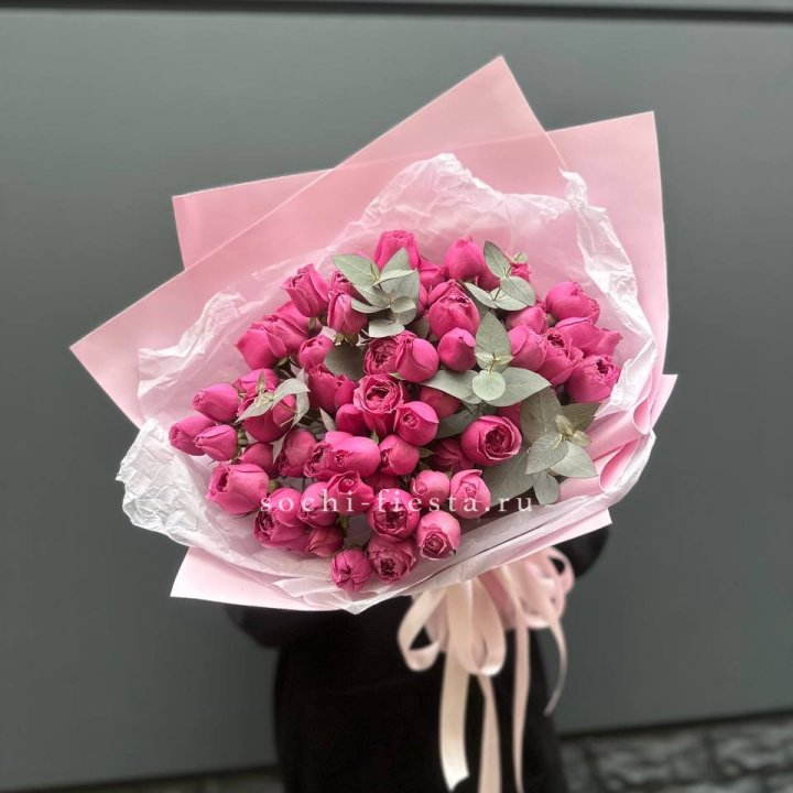 25 Мисти бабблс в Владивостоке