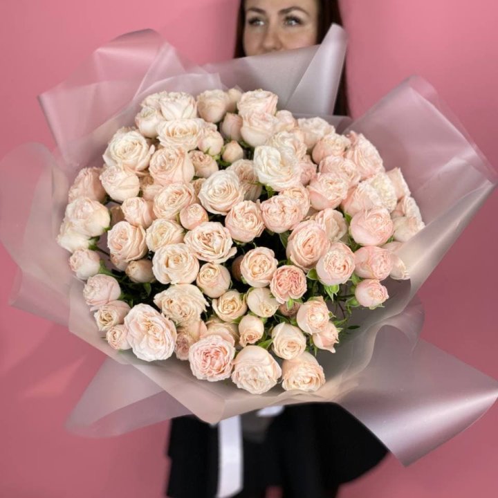 Carina в Владивостоке