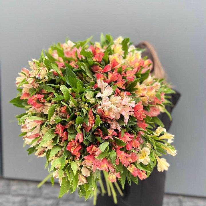 51 альстромерия в Владивостоке