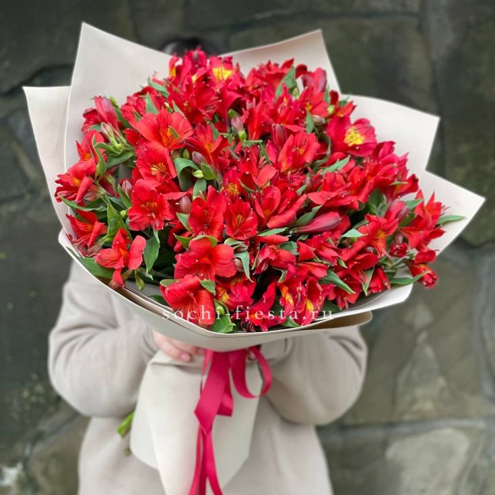 51 альстромерия в Владивостоке