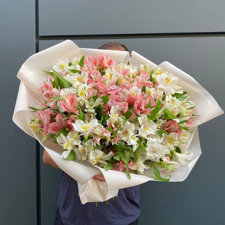 39 альстромерий в Владивостоке