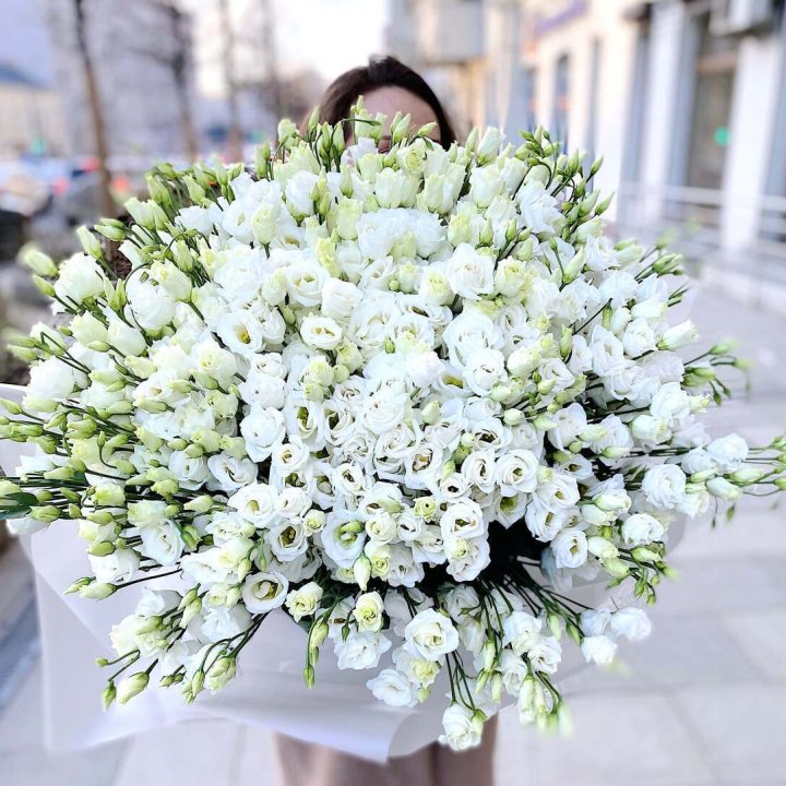 101 белая эустома в Владивостоке