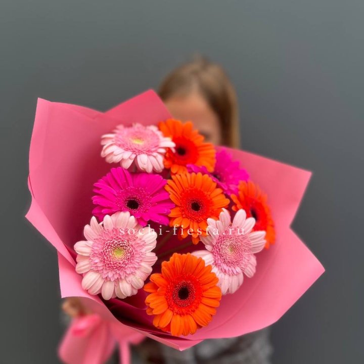 Краски в Владивостоке