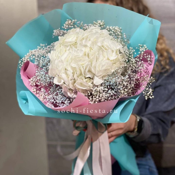 Гортензия "Райдов" в Владивостоке