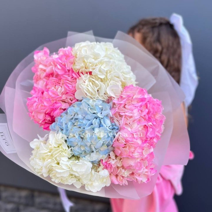 7 гортензий микс в Владивостоке