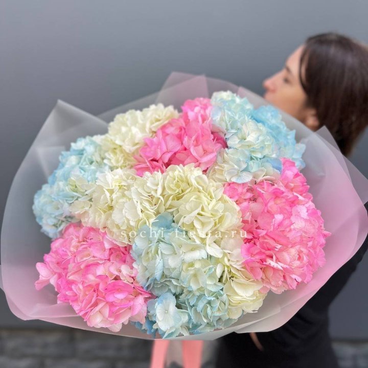 9 гортензий микс в Владивостоке
