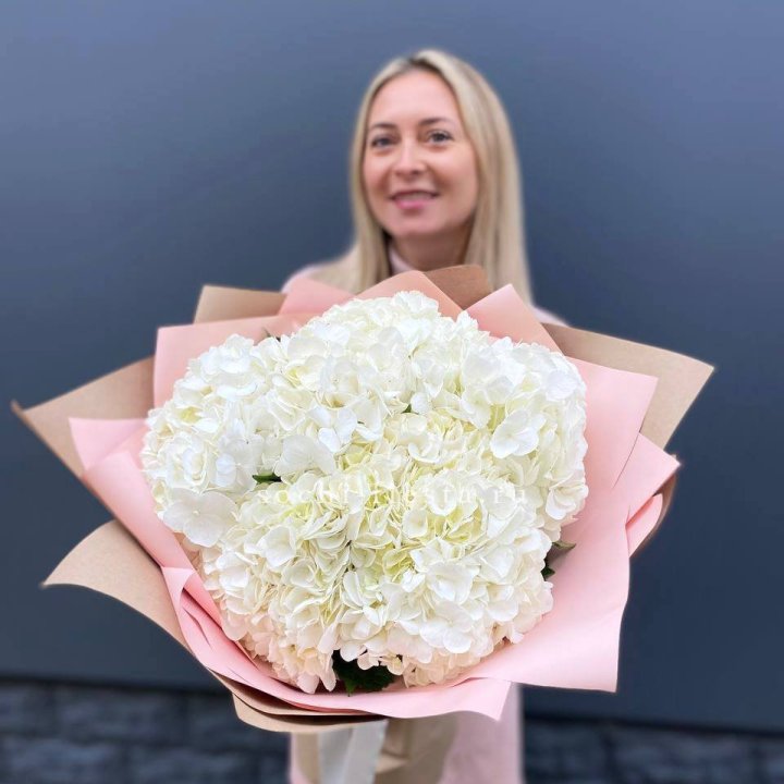 Гортензия белая в Владивостоке