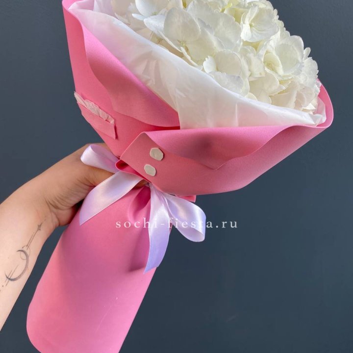 Гортензия в розовом пиджаке в Владивостоке