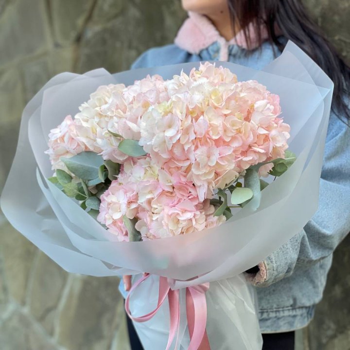 5 розовых гортензий в Владивостоке