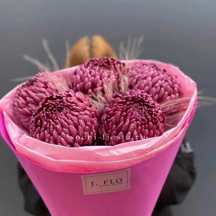 Хризантемы  Бигуди с стифой в Владивостоке