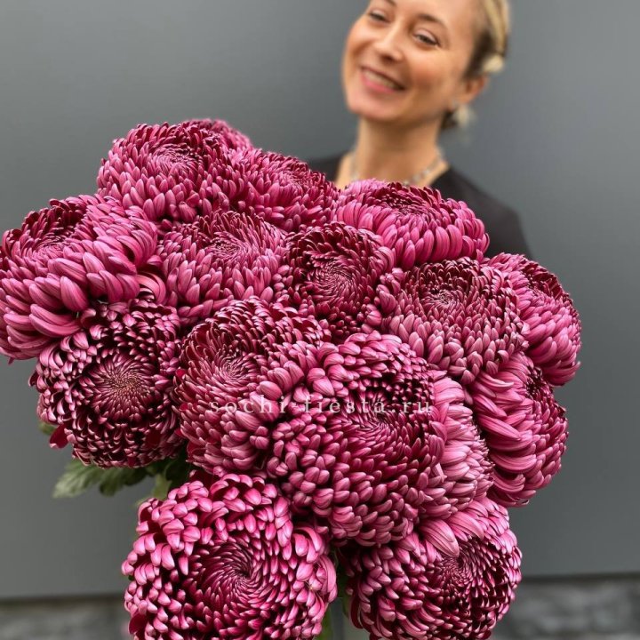 Охапка хризантем Бигуди в Владивостоке