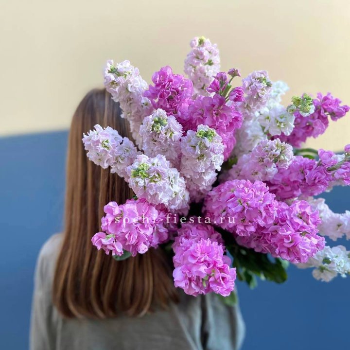 Охапка маттиолы в Владивостоке