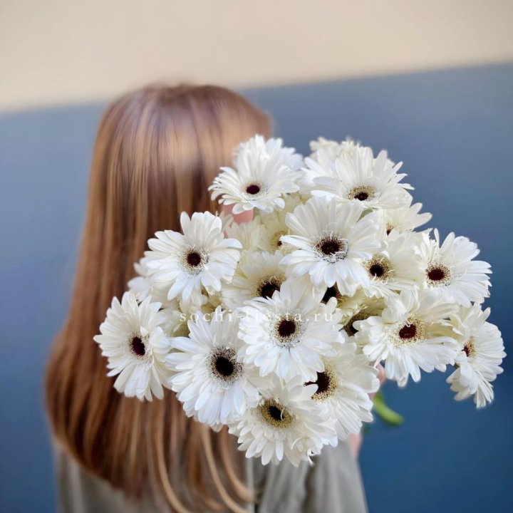 Охапка гербер в Владивостоке