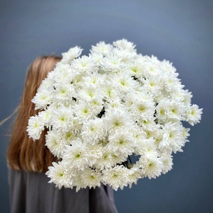 Охапка Хризантемы кустовой в Владивостоке