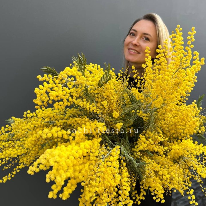 Охапка мимозы №2 в Владивостоке