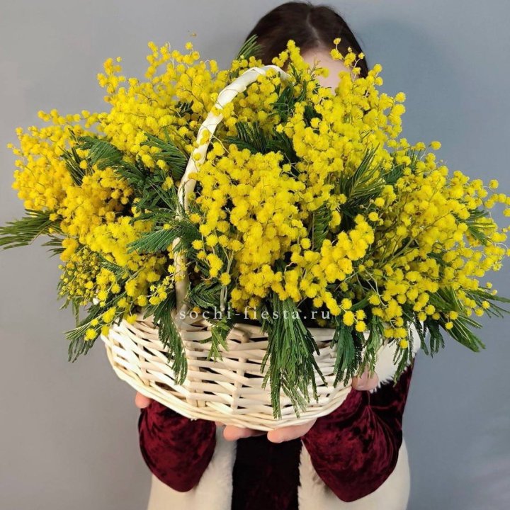 Корзина ароматной мимозы в Владивостоке