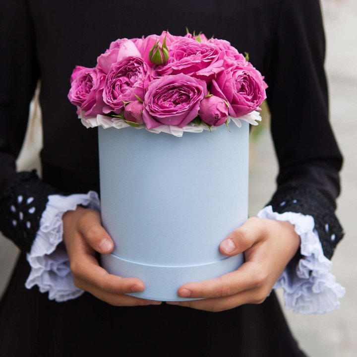 Бокс мини мисти в Владивостоке