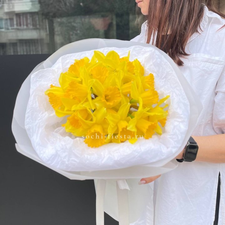 Нарциссы 25 шт в Владивостоке