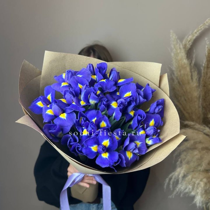 Ирисы в Владивостоке