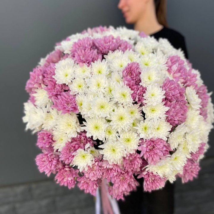  Букет 25 хризантем микс в Владивостоке