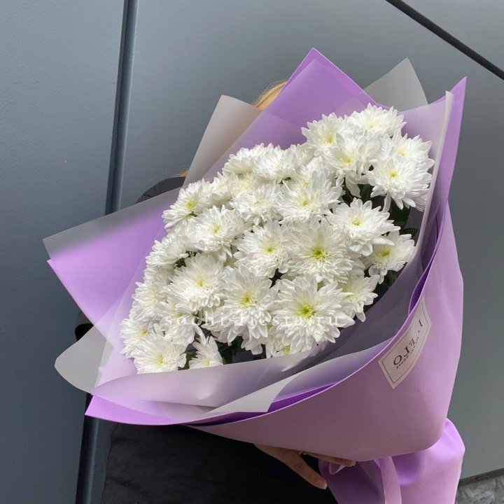  7 хризантем  в Владивостоке