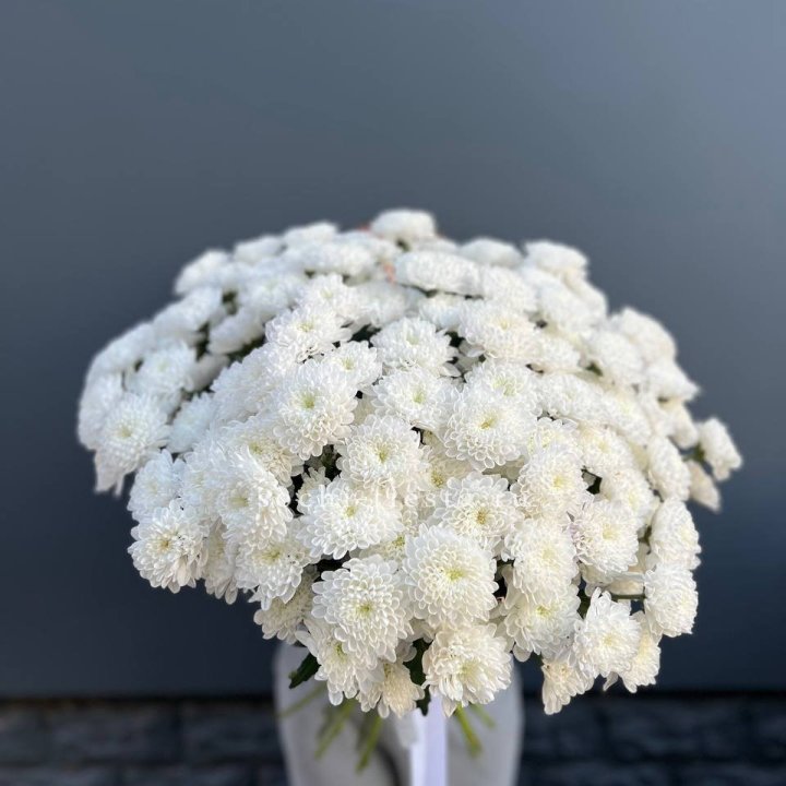  25 хризантем белых в Владивостоке