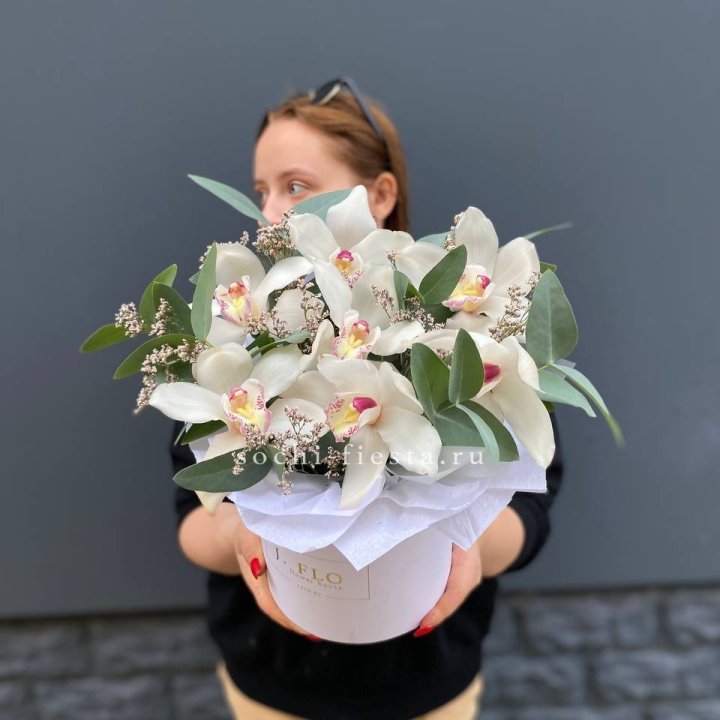 7 орхидей в боксе в Владивостоке