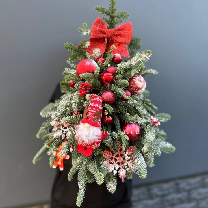 Новогодняя елочка "Ред" в Владивостоке