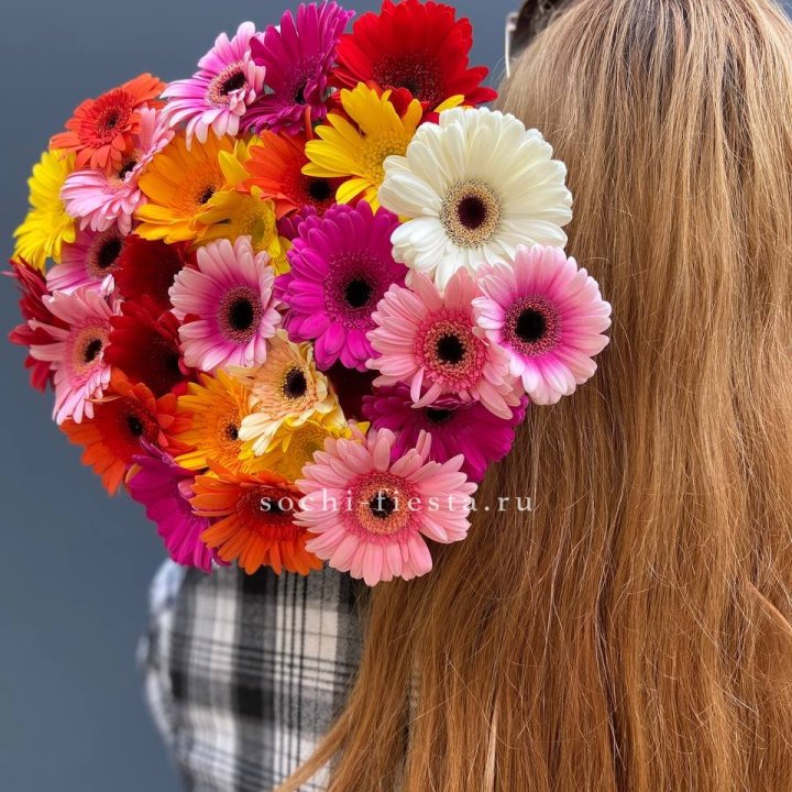 Охапка гербер  в Владивостоке