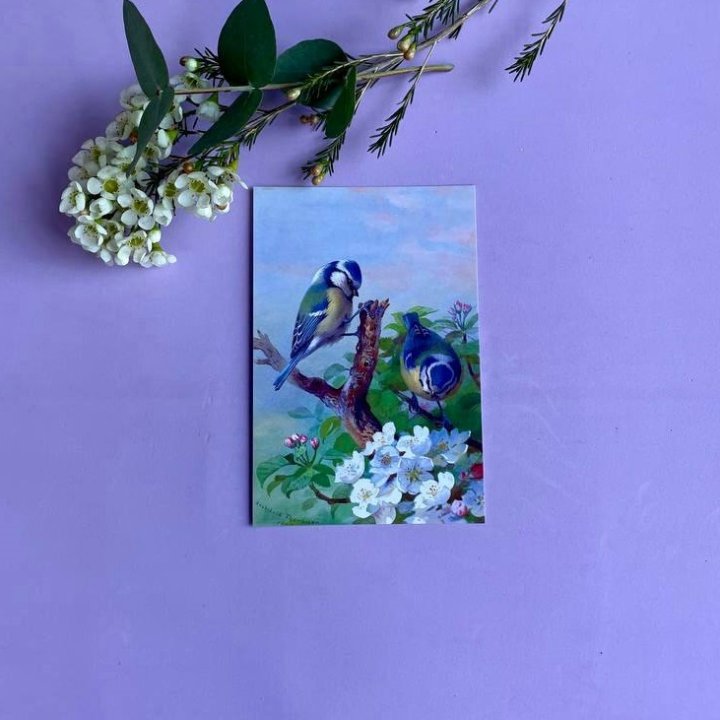 Открытка к букету "Птицы" в Владивостоке