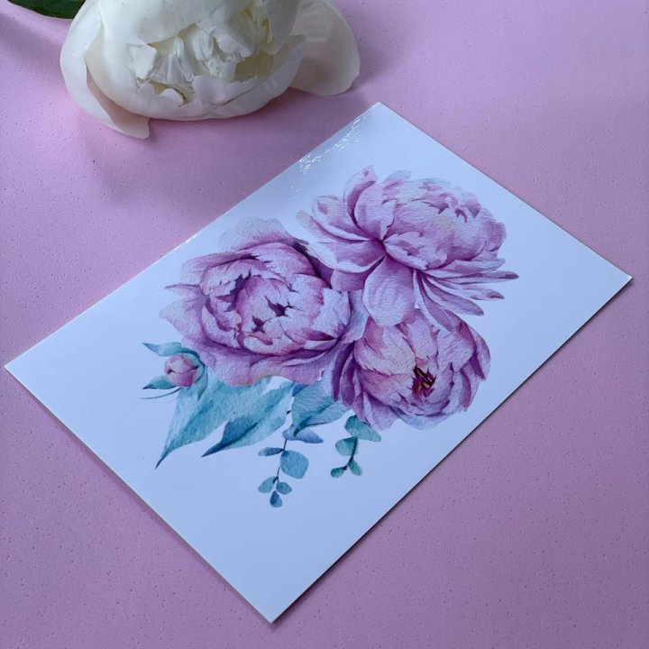 Открытка к букету "Пионы" в Владивостоке