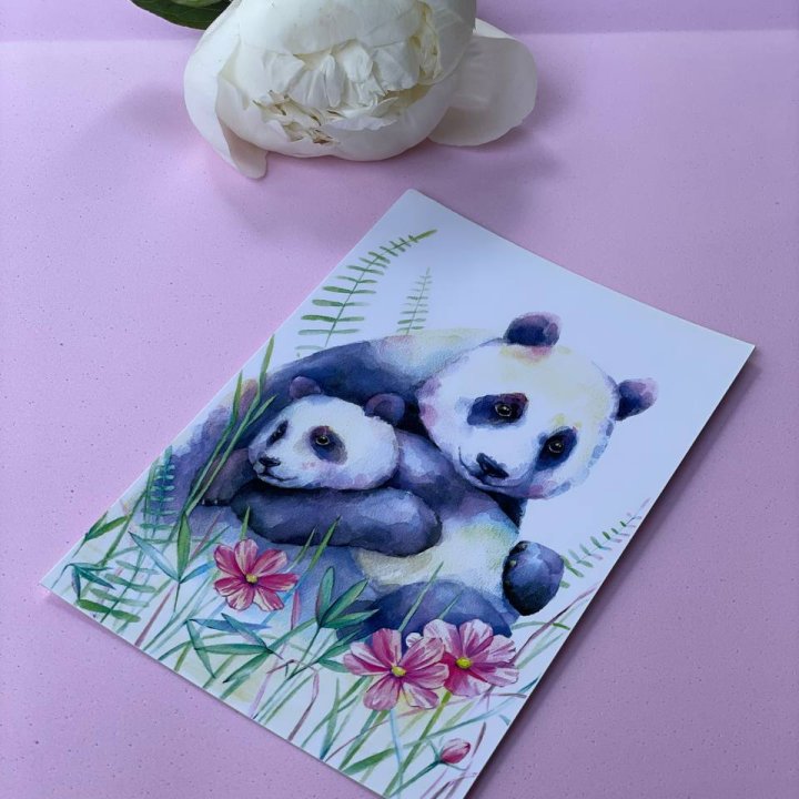 Открытка к букету "Объятие Панды" в Владивостоке