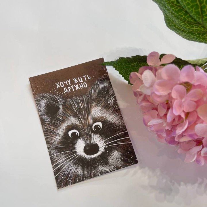 Открытка к букету "Енотик" в Владивостоке