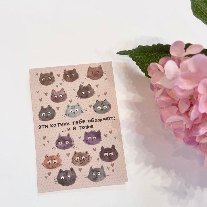 Открытка к букету "Котики" в Владивостоке