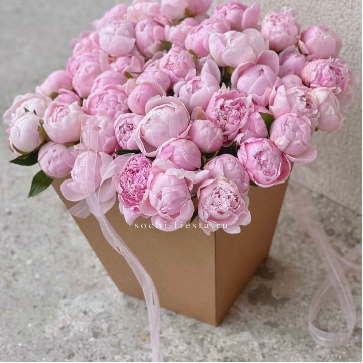 49 пионов в крафт коробке в Владивостоке