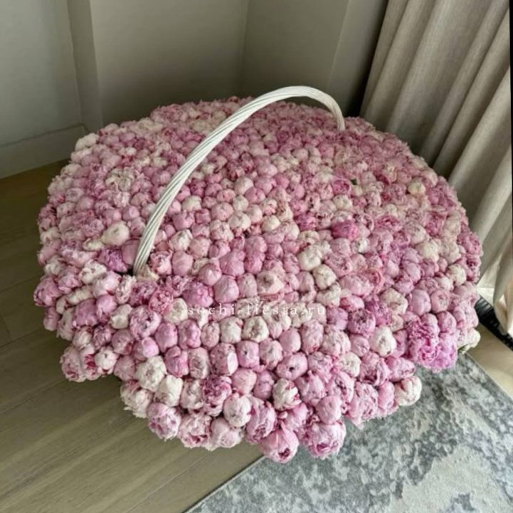 Корзина 555 пионов в Владивостоке