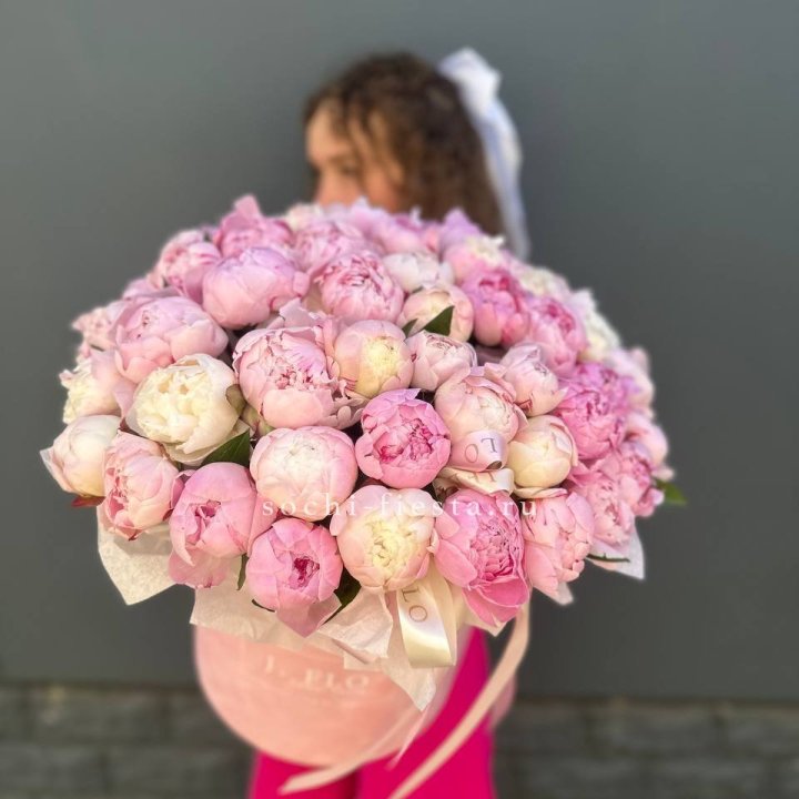 51 нежных пионов  в цилиндре в Владивостоке