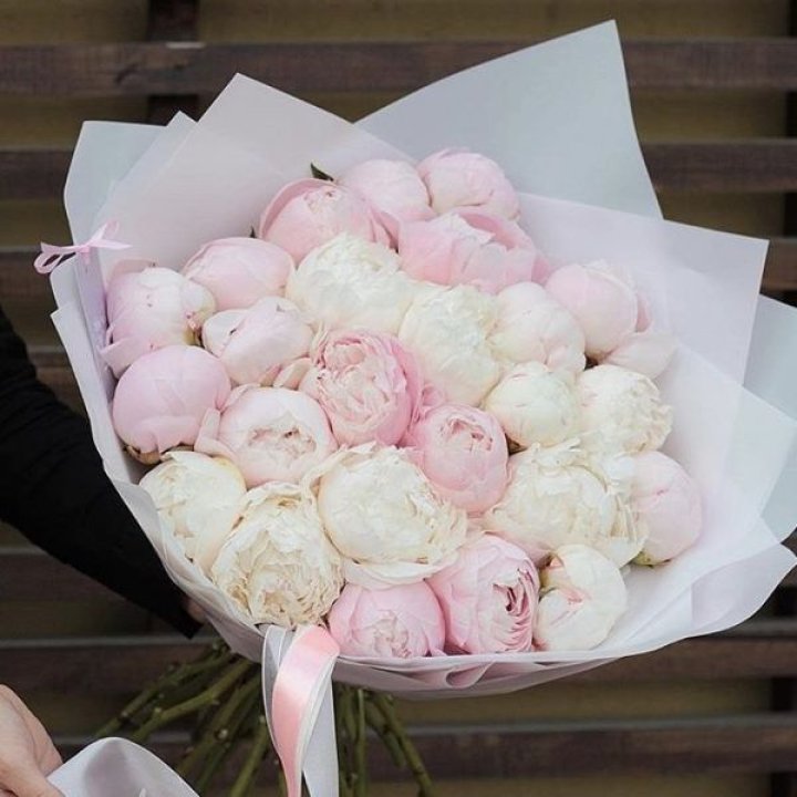 29 пионов в Владивостоке