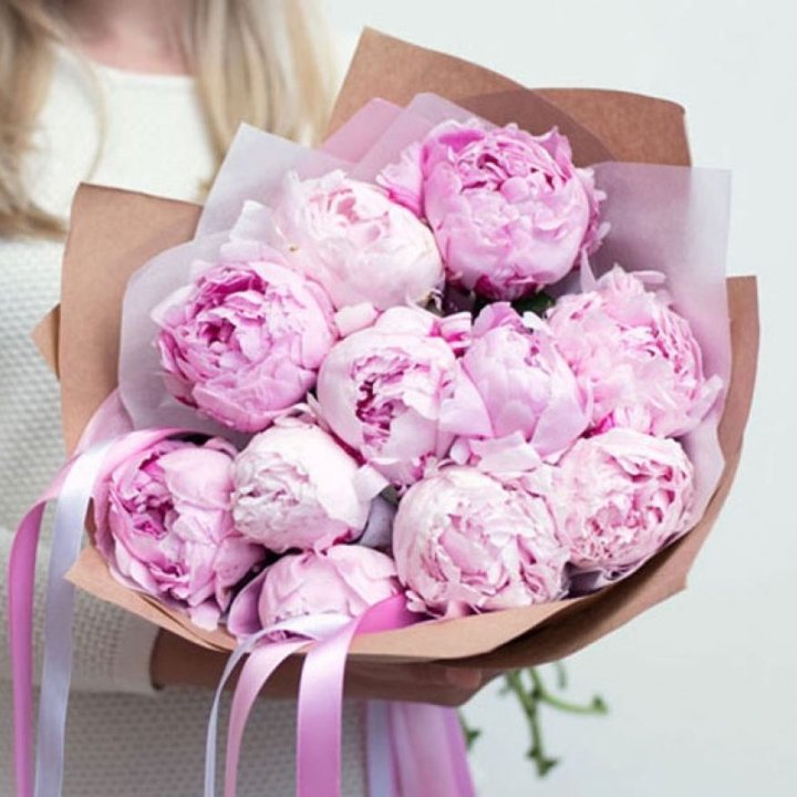 11 нежных пионов в Владивостоке