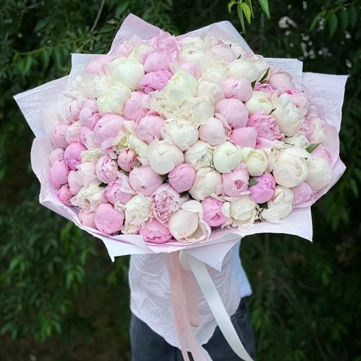 101 пион в Владивостоке