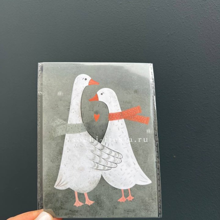 Открытка к букету "Гуси” в Владивостоке