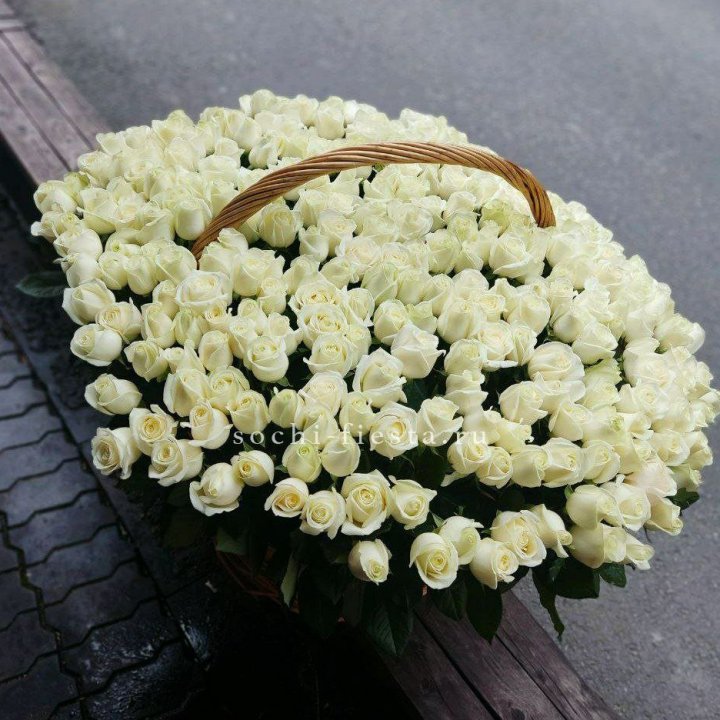 303 розы в корзине в Владивостоке