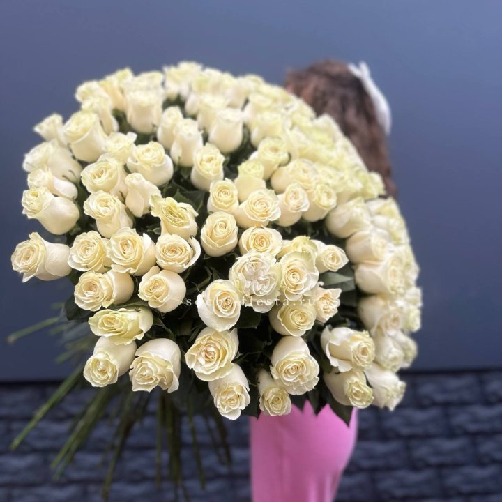 101 белая высокая импортная роза под ленту в Владивостоке