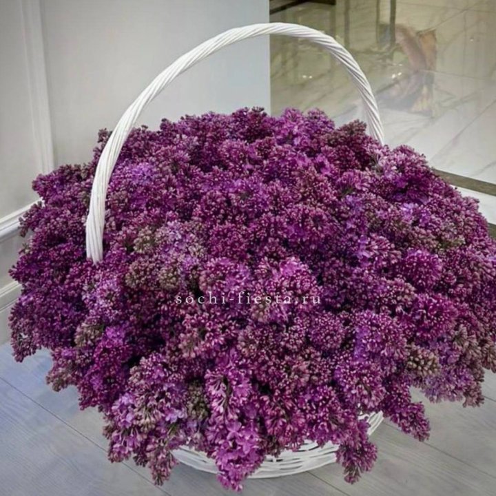 Корзина сирени в Владивостоке