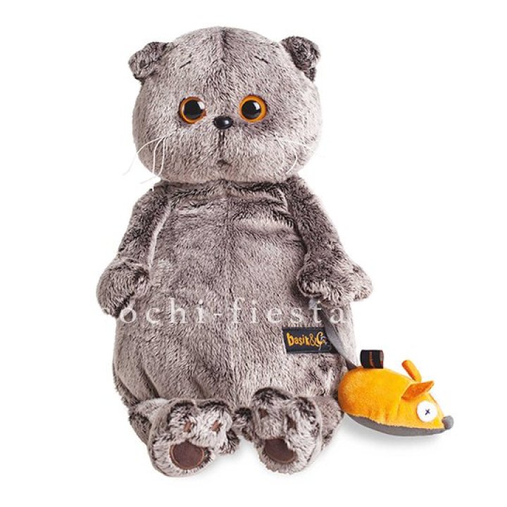 Кот Басик с мышкой в Владивостоке