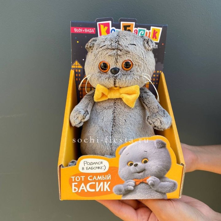 Кот Басик с бабочкой в Владивостоке