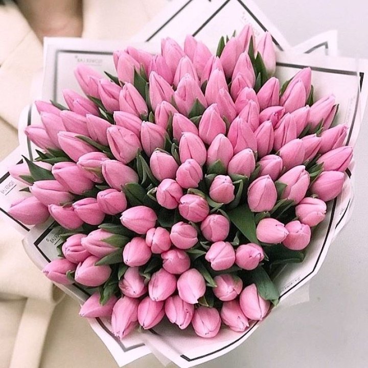 101 розовый тюльпан в белом в Владивостоке