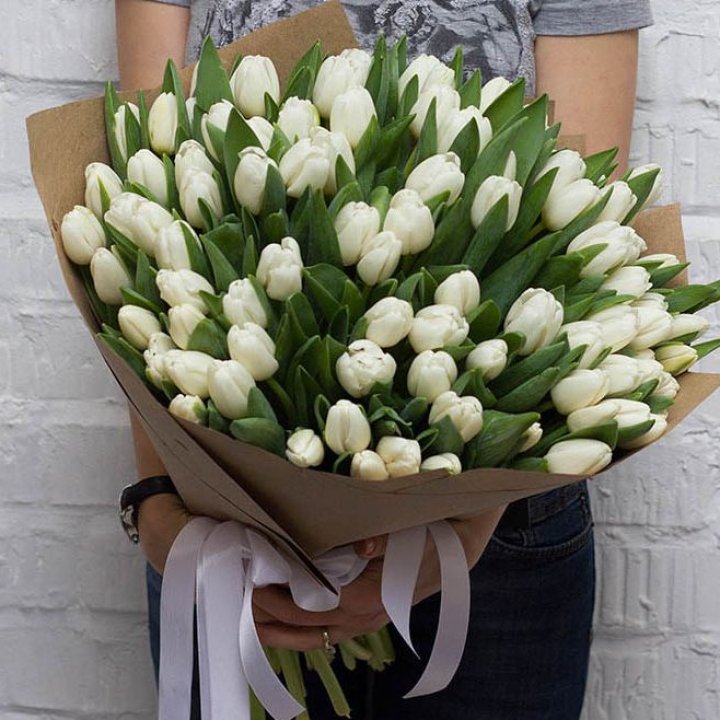 101 тюльпан сноу в Владивостоке