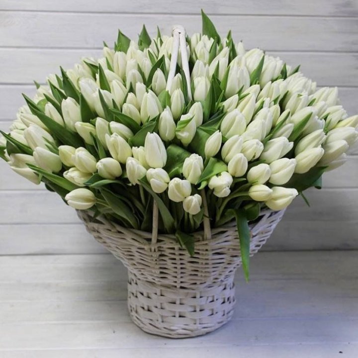Корзина из 151 тюльпана в Владивостоке